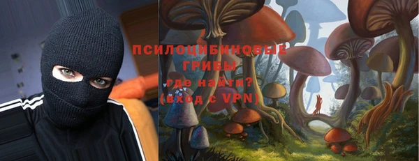 ешки Каменногорск