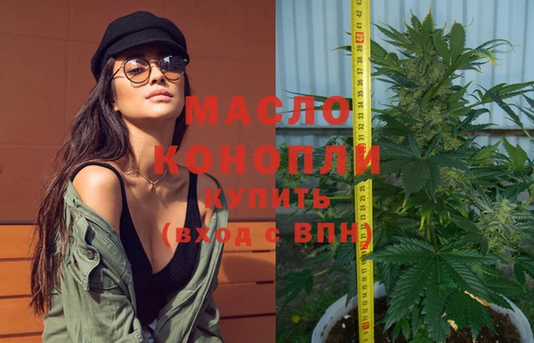 хмурый Каменка