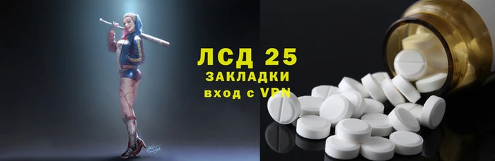мяу мяу мука Иннополис
