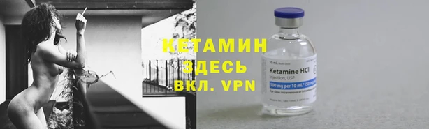 ПСИЛОЦИБИНОВЫЕ ГРИБЫ Инсар