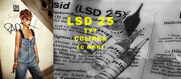 ПСИЛОЦИБИНОВЫЕ ГРИБЫ Инсар