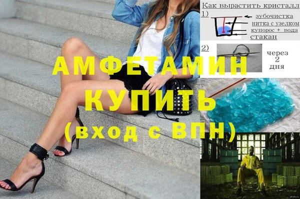 ПСИЛОЦИБИНОВЫЕ ГРИБЫ Инсар