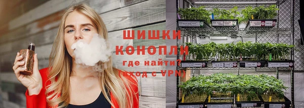 гашик Инта