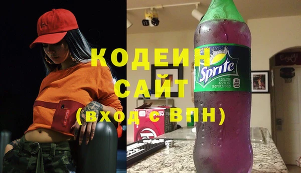 гашик Инта