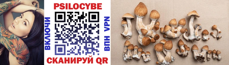 Купить где  Заволжье  Галлюциногенные грибы GOLDEN TEACHER 